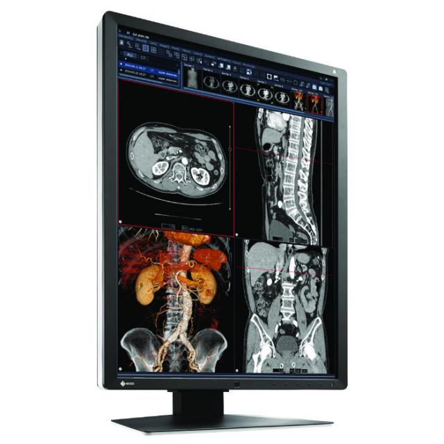 Medical Monitor EIZO RadiForce RX250 2MP, Color 