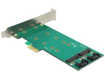 Delock PCI Express x1 Card > 2 x internal M.2 Key B 110 mm