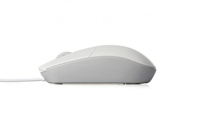 Optical Mouse RAPOO N100 