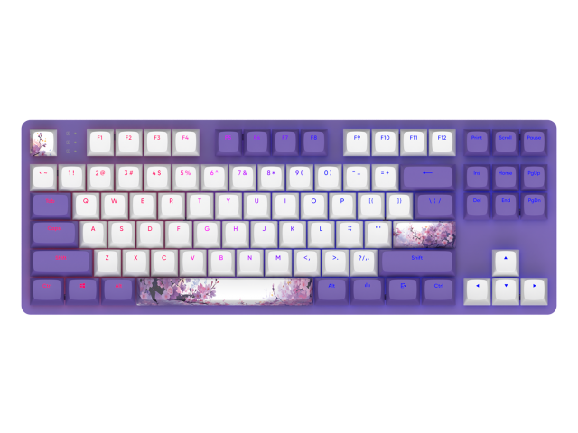 Gaming Mechanical Keyboard Dark Project 87 Violet Horizons RGB TKL - G3MS Sapphire Switches, ABS 