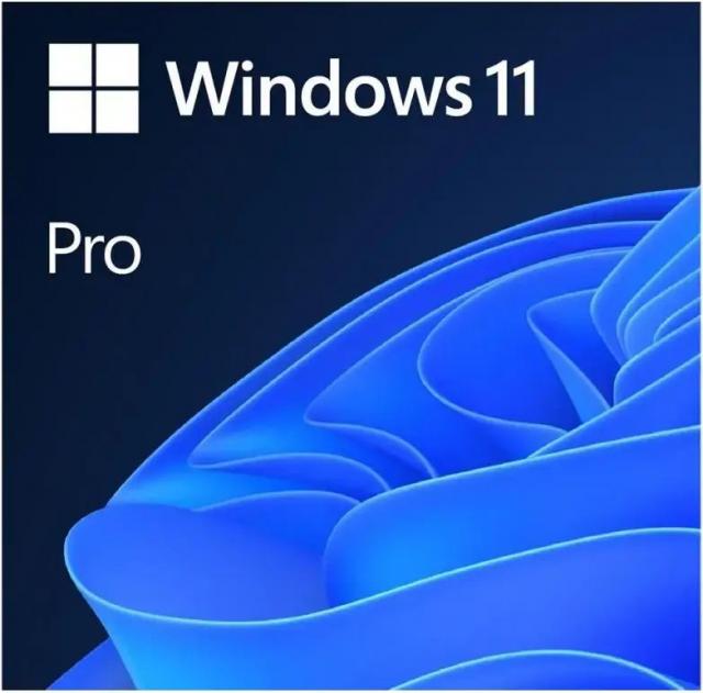 Sofware Microsoft Windows Pro FPP 11 64-bit Eng Intl 