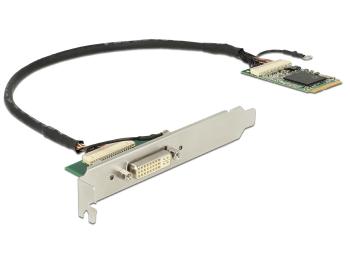 Delock Module Mini PCIe I/O PCIe full size DVI Graphics Adapter