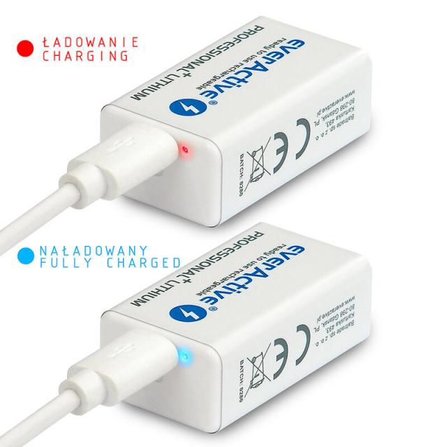 Rechargeable Battery  R22 9V LiIon 500mAh/550 precharged +micro Usb 1 pc. pack EVERACTIVE 