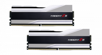 Memory G.SKILL Trident Z5 Silver 32GB(2x16GB) DDR5 6000MHz F5-6000J4040F16GX2-TZ5S