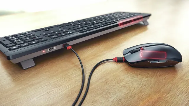 Mouse and keyboard CHERRY KEY JD 8560EU 2 