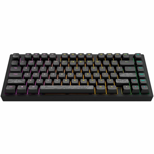 Геймърскa механична клавиатура Dark Project ALU81A Terra Nostra Black RGB 