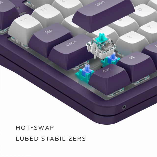 Геймърскa механична клавиатура Dark Project ALU87A Violet RGB - TKL 