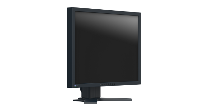 Медицински монитор EIZO RadiForce S2134-BK Цветен, Черен 