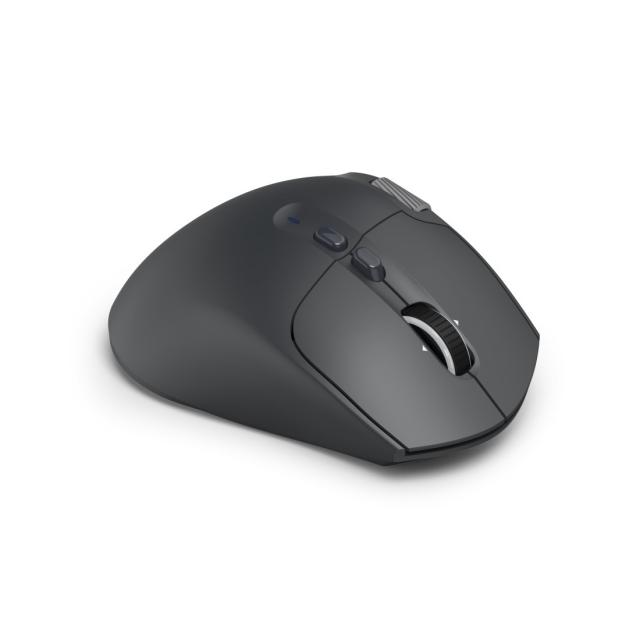 Hama “WM-900” Multi-Device Mouse, Ergonom., Radio/Bluetooth®, Battery, RGB, blk 