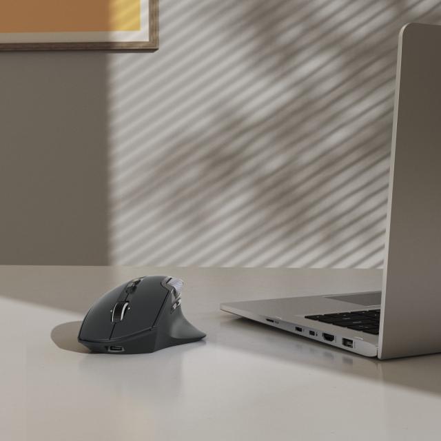 Hama “WM-900” Multi-Device Mouse, Ergonom., Radio/Bluetooth®, Battery, RGB, blk 