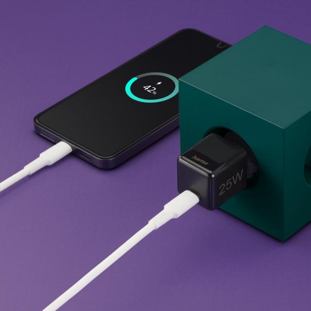 HAMA Бързо мини зарядно 220V, USB-C, PD/Qualcomm, 25 W, черен 