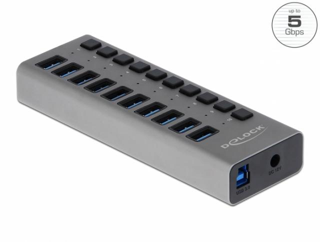 USB Hub with 10 Ports, DELOCK-63670 