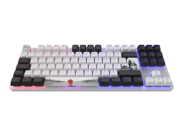 Gaming Mechanical Keyboard Dark Project 87 Fuji RGB TKL - G3MS Sapphire Switches, ABS 