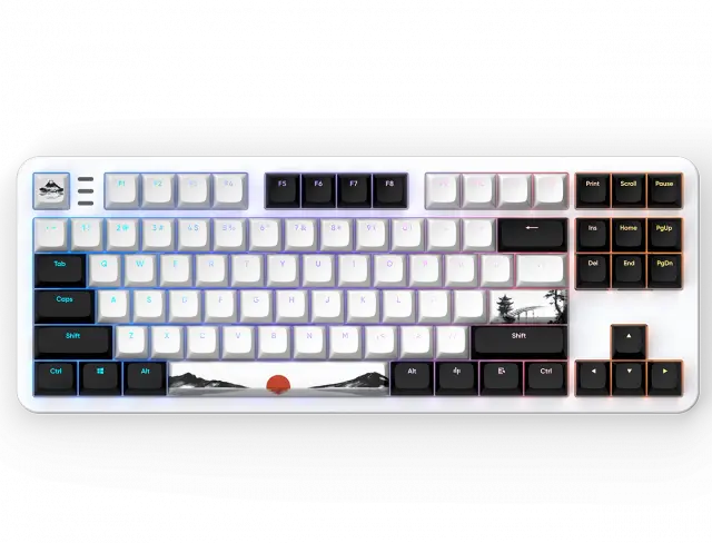 Gaming Mechanical Keyboard Dark Project 87 Fuji V2 RGB TKL - G3MS Sapphire Switches, ABS 