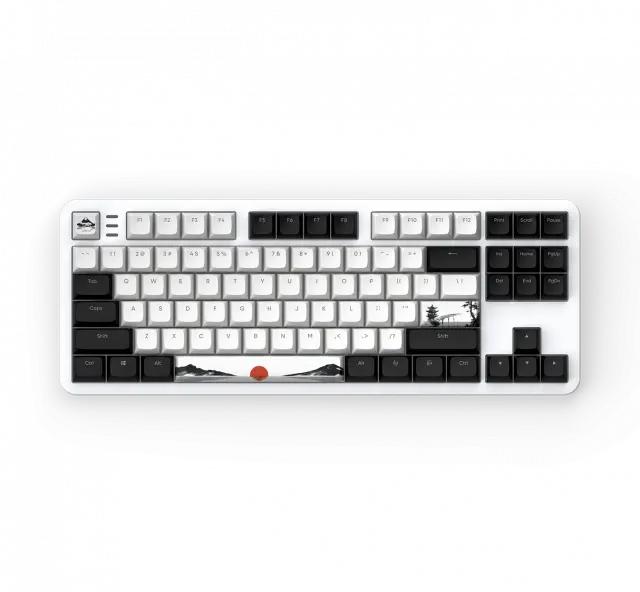 Gaming Mechanical Keyboard Dark Project 87 Fuji V2 RGB TKL - G3MS Sapphire Switches, ABS 