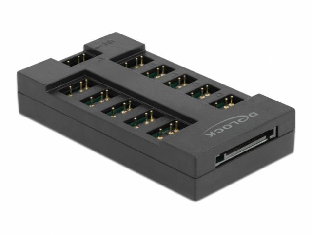 Delock RGB Hub for ARGB LEDs with 10 ports 