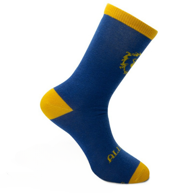 ABYSTYLE WORLD OF WARCRAFT Socks Alliance 