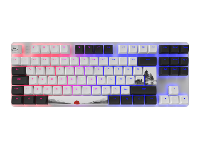 Gaming Mechanical Keyboard Dark Project 87 Fuji RGB TKL - G3MS Sapphire Switches, ABS 