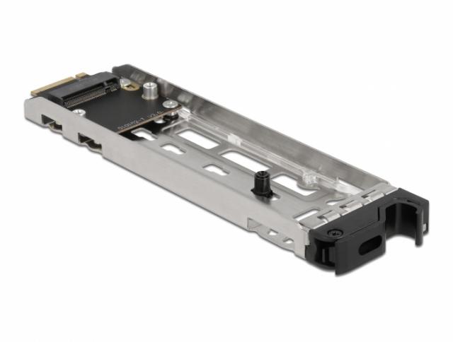 Delock Mobile Rack PCI Express Card for 1 x M.2 NMVe SSD - Low Profile Form Factor 