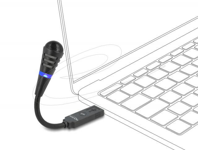 Delock USB Microphone with Gooseneck and Mute Button 