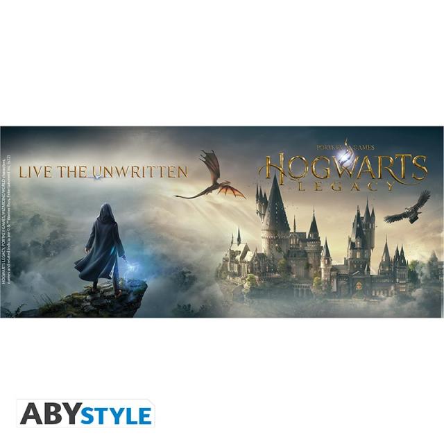 Чаша ABYSTYLE HARRY POTTER, Hogwarts Legacy Castle, 320 ml 