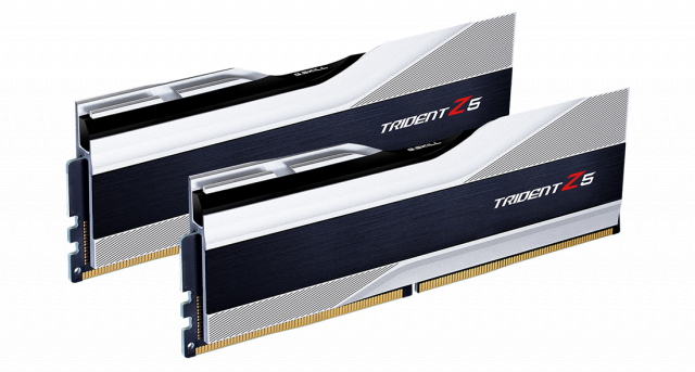 Memory G.SKILL Trident Z5 Silver 32GB(2x16GB) DDR5 6000MHz F5-6000J4040F16GX2-TZ5S 