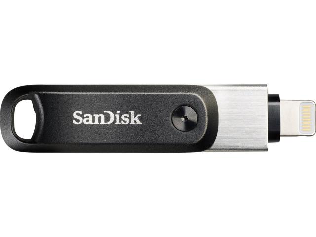 SanDisk 256GB iXpand Flash Drive Go for Your iPhone and iPad, Silver 