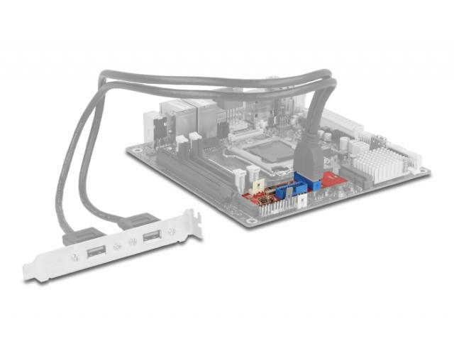 Адаптер Delock, M.2 Key B+M мъжко към 2 x USB 5 Gbps Pin Header 