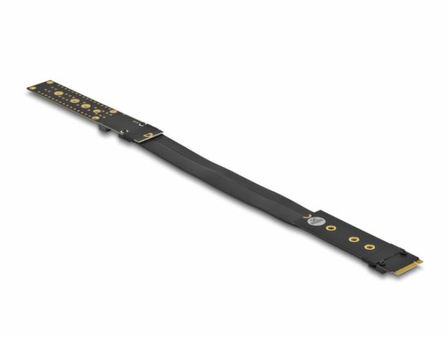 Delock Riser Card M.2 Key M Extension NVMe with 20 cm cable 