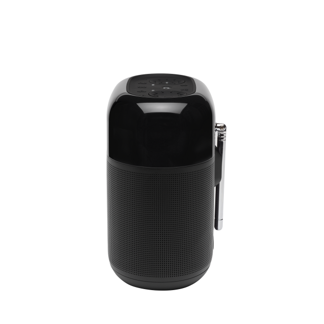 Bluetooth Speaker with FM JBL Tuner XL Black 