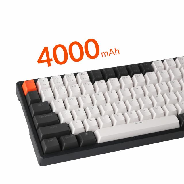 Геймърска Механична клавиатура Keychron K2 Hot-Swappable Compact Gateron Brown Switch White LED Gateron Brown Switch ABS 