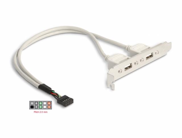 Delock Slot bracket 2 x USB 2.0 type A female external 