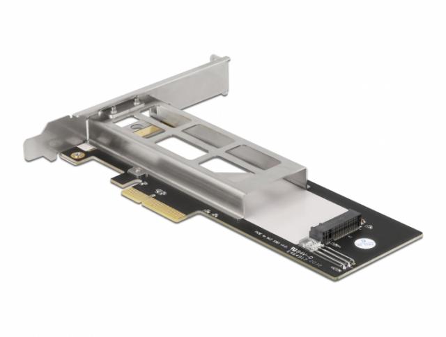 Delock Mobile Rack PCI Express Card for 1 x M.2 NMVe SSD - Low Profile Form Factor 