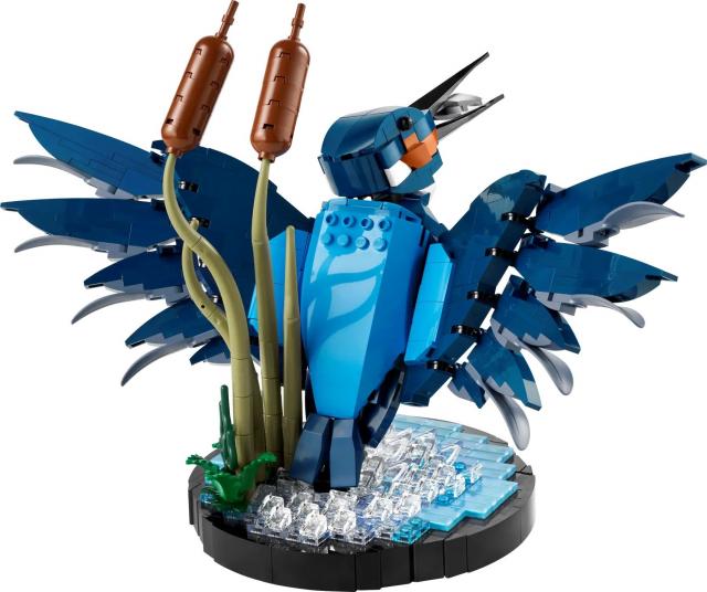 LEGO Icons - Kingfisher Bird - 10331 