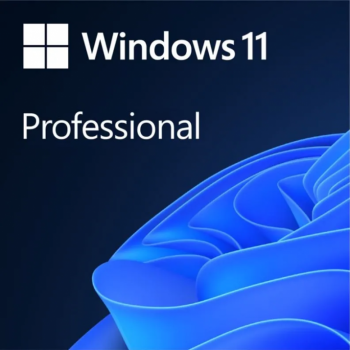 Sofware MS Windows Pro 11 ESD 64-bit All lang Downloadable