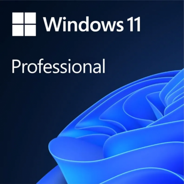 Sofware MS Windows Pro 11 ESD 64-bit All lang Downloadable 