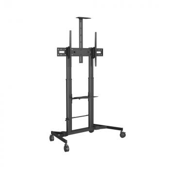 Ricoh Vision VFM-F25 flat panel floorstand