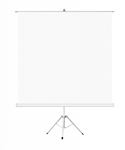 Tripod Projection Screen ESTILLO, 180 x 180, 1:1, White 