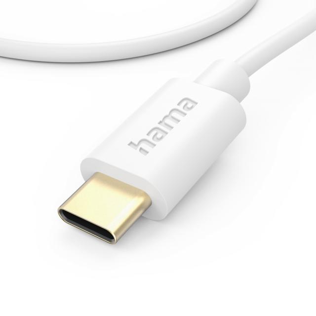 Hama Charging Cable, USB-C - USB-C, 201590 