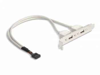 Delock Slot bracket 2 x USB 2.0 type A female external