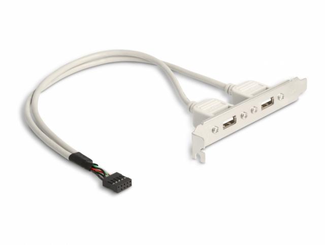 Delock Slot bracket 2 x USB 2.0 type A female external 