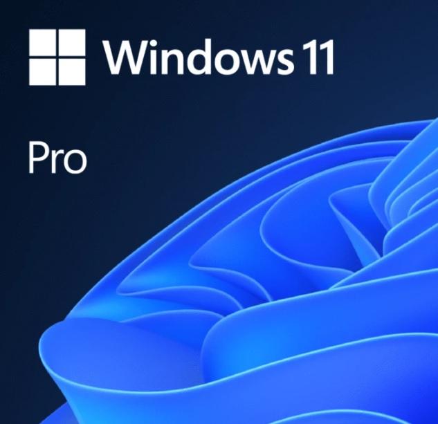 Sofware Microsoft Windows 11 Pro x64 ENG OEM 