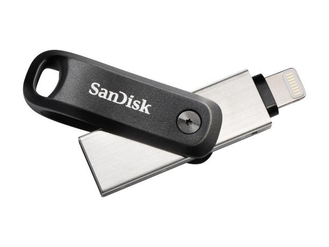 SanDisk 256GB iXpand Flash Drive Go for Your iPhone and iPad, Silver 