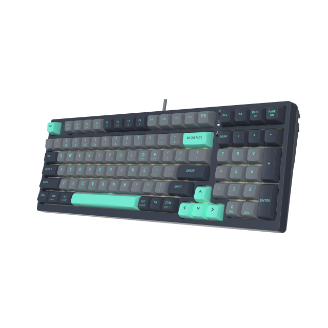 A4tech Fstyler FGS300 Panda Rock Mechanical TKL Cyrillic 