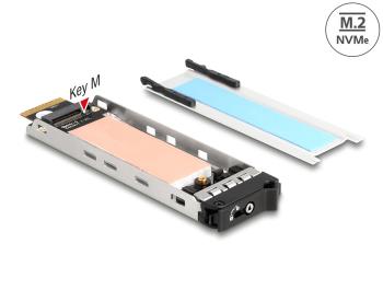 Delock Mobile Rack Inner Tray 1 x M.2 NVMe SSD for Mobile Rack 47028 / 47042 / 47070 / 47072 / 47111 / 47117 / 47126 / 47129