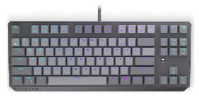 Endorfy mechanical keyboard Thock V2 TKL, PBT, Endorfy Red switch, US Layout 