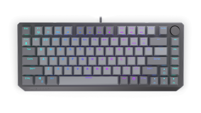 Endorfy mechanical keyboard Thock V2 75%, PBT, Endorfy Red switch, US Layout 