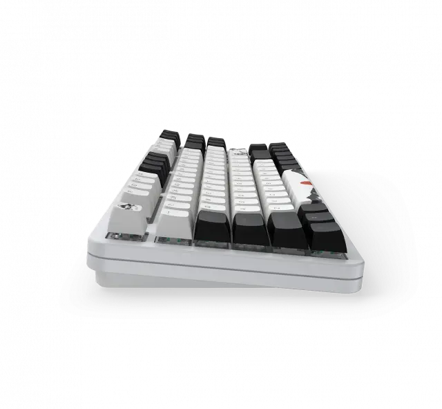 Gaming Mechanical Keyboard Dark Project 87 Fuji V2 RGB TKL - G3MS Sapphire Switches, ABS 