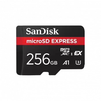 SanDisk microSD Express Card - 256 GB