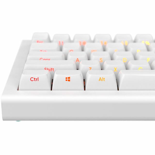 Gaming Mechanical Keyboard Nubi NK68HE White - Hall Effect 